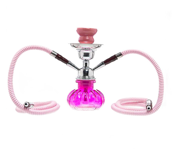 Pumpkin Waterpijp - Twee slangen - Roze - Waterpijp-bong.nl