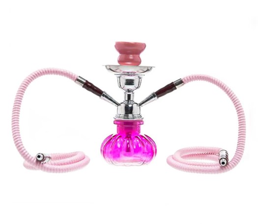 Pumpkin Waterpijp - Twee slangen - Roze - Waterpijp-bong.nl